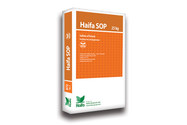 haifa-sop